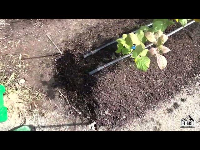 A Simple Drip Irrigation System on Raised Garden Beds