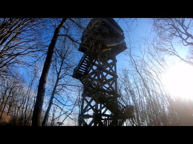 MTB Bisamberg - Glockenberg