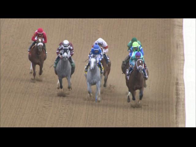 OAKLAWN RACE REPLAY: 2017 $150,000 Purple Martin Stakes Featuring Golden Mischief