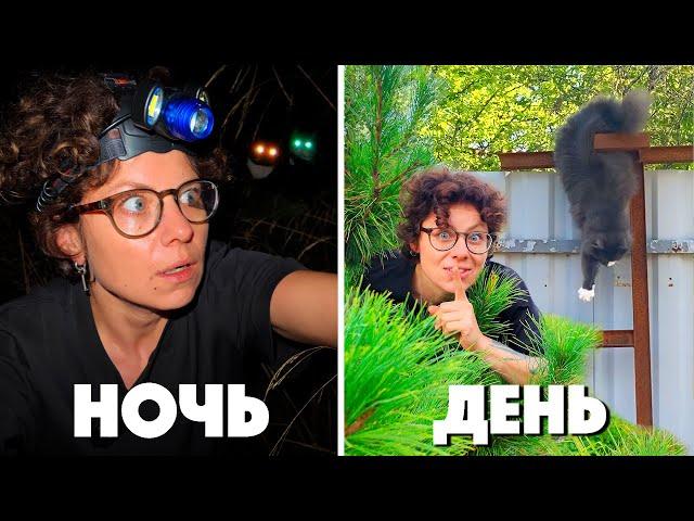 СЛЕЖКА ЗА КОШКОЙ 24 ЧАСА! ЧТО СЛУЧИЛОСЬ НОЧЬЮ? ТУР ПО САДУ