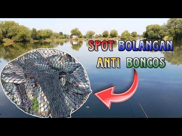 SPOT ANTI BONCOS..!! Mancing Mujair Di Spot Bolangan Harian Murah Meriah Ikan Melimpah