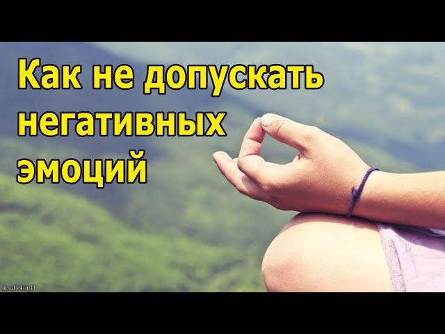 О принципах, которые помогают не допускать сильных негативных эмоций