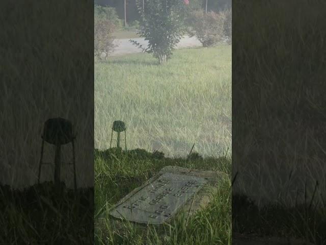 The Grave of Serial Killer Ottis Toole : The Murderer of Adam Walsh