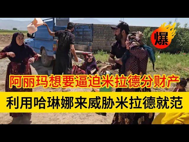 米拉德和哈琳娜最新后续，米拉德被阿丽玛给算计了，要分房子和家产
