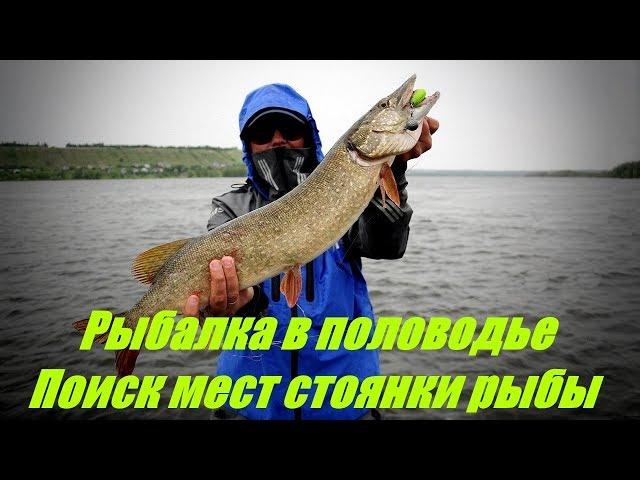 Ловля на сильном течении. Поиск мест стоянки рыбы