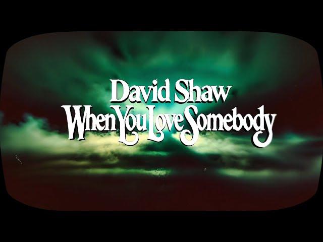 David Shaw - When You Love Somebody (Official Music Video)