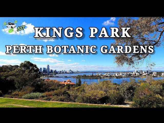 KINGS PARK and Botanic Gardens Perth ,ep 107