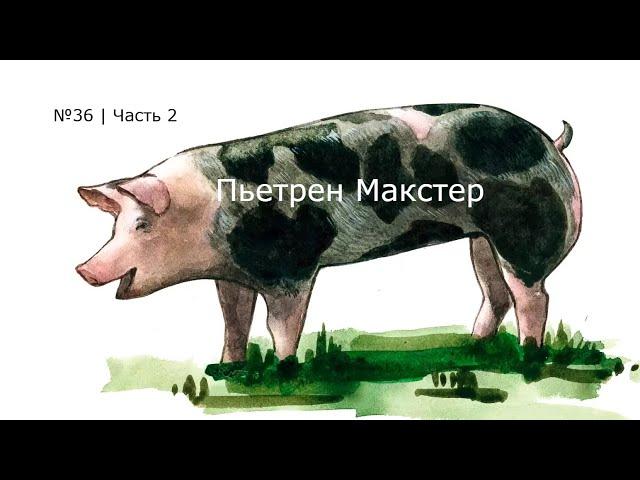 №36 | Тренд | Дорогие поросята.