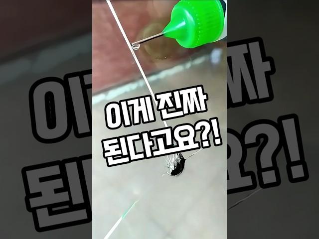 이게 진짜 된다고요?!