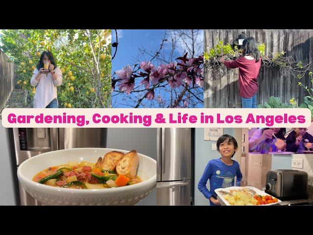 Filipino Garden, Cooking and Life in Los Angeles Vlog  