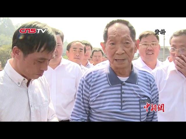 袁隆平：超级稻亩产或将破1200公斤大关