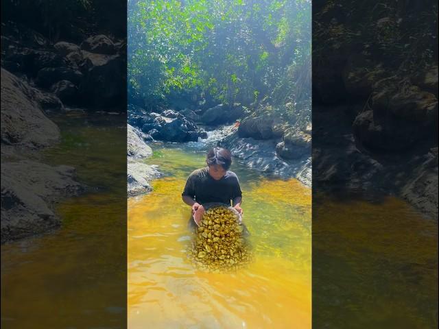 Amazingly this man found gold just taking a little material by the river#discoveringgold #findgold
