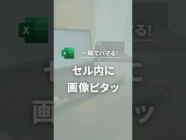 一瞬でハマる！セル内に画像ピタッこれで画像サイズ調整のムダな時間はゼロ！初心者でもできる簡単ワザ #Excel #パソコンスキル #仕事術 #定時退社 #エクセル初心者 #エクセル時短ワザ
