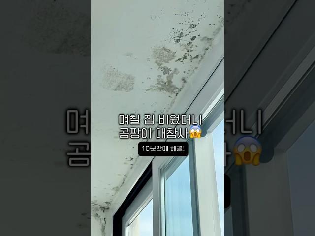 외출하고 왔더니…곰팡이 폭탄 10분 컷으로 퇴출 했어요!! #곰팡이제거 #천장곰팡이 #생활꿀팁