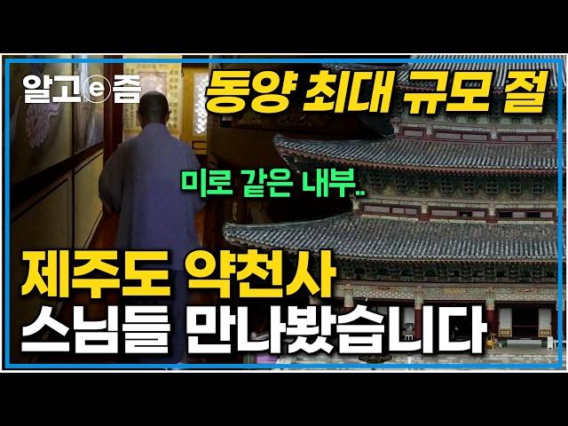 산이 아닌 바다를 보며 수행하는 제주도 스님들! 입 떡 벌어지는 최대 규모 절 속 숨겨진 미로 같은 광경｜한국기행｜알고e즘