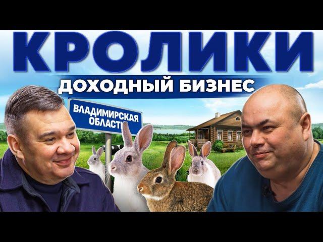 Кролики - это выгодно! Как заработать на кроличьей ферме? Владимирская область | Андрей Даниленко