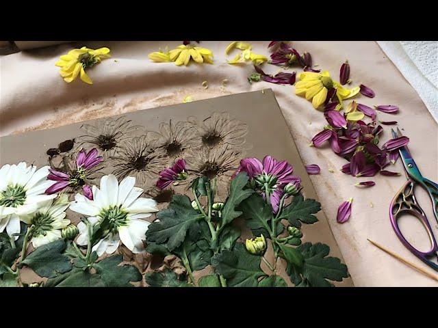 The Process Botanical Plaster Casts with Klever Art in Relaxing Scandinavian Art Vlog #4 !