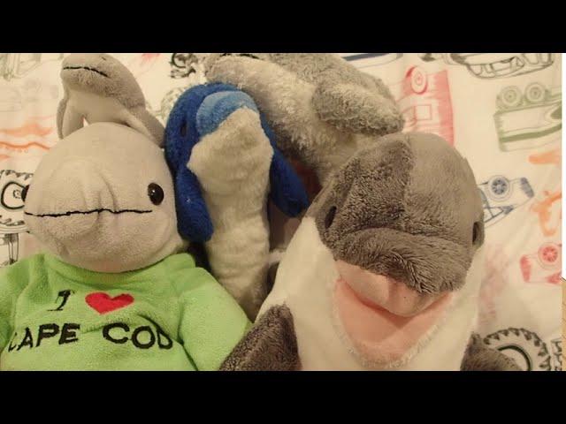 Meet the Bloop Patrol
