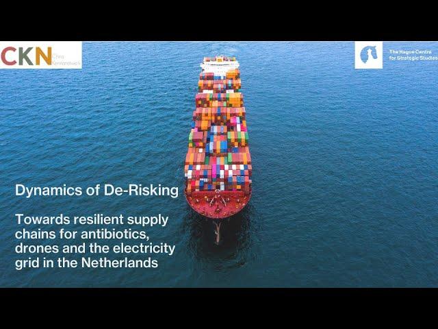 Dynamics of De-Risking | Explainer Video