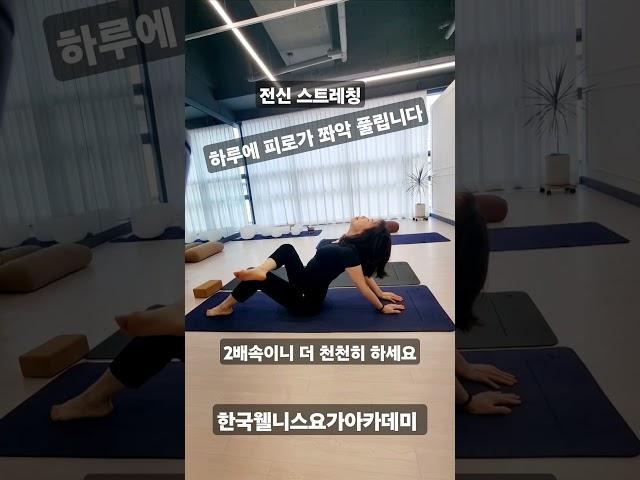 피로회복요가#전신스트레칭#갱년기요가#시니어요가#피로회복에좋은자세#원주요가 #한국웰니스요가아카데미