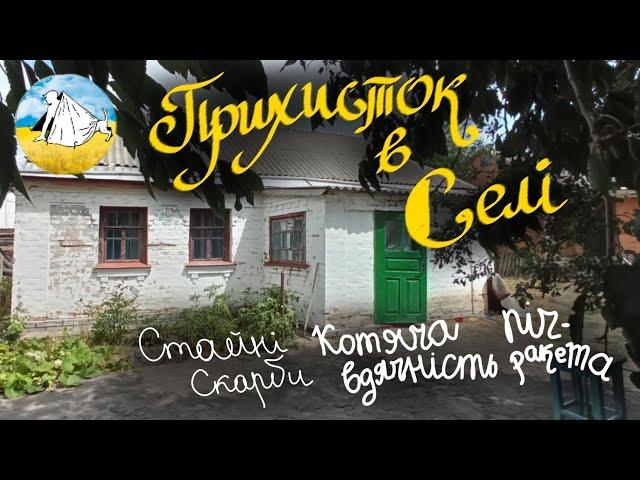 Прихисток в селі/Скарби стайні/Піч виживання/Котяча вдячність