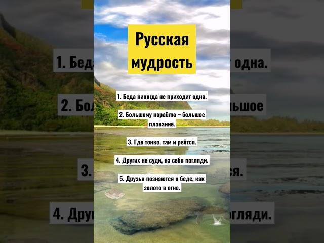 Русские пословицы и поговорки