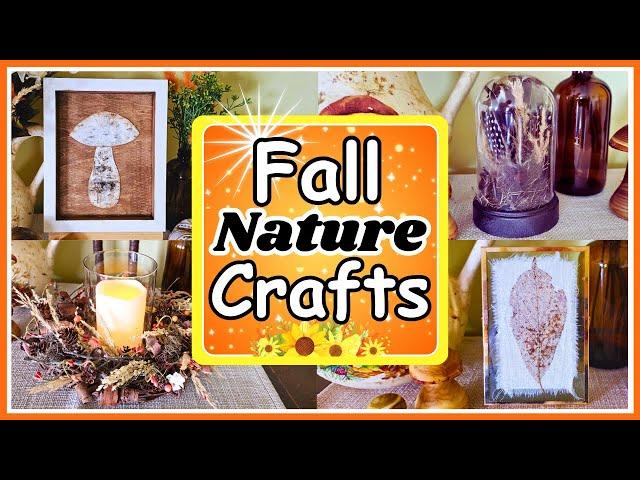 BEAUTIFUL DIY Nature Crafts For Fall Home Decor