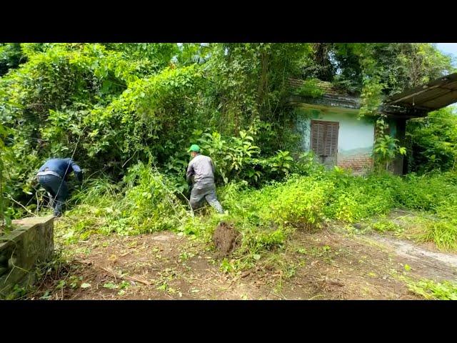 Cleaning up an abandoned house Overgrown GARDEN Beautiful transformation