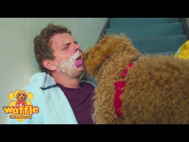 Waffle Walkies! | Waffle The Wonder Dog Full Episode Compilation For Kids | WildBrain Zigzag