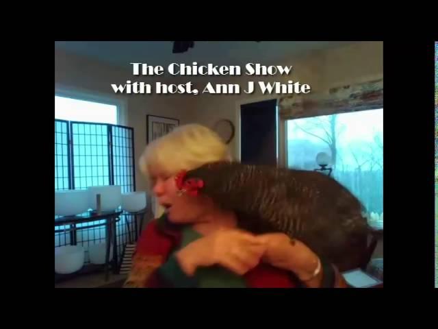 The Chicken Show with Ann J White