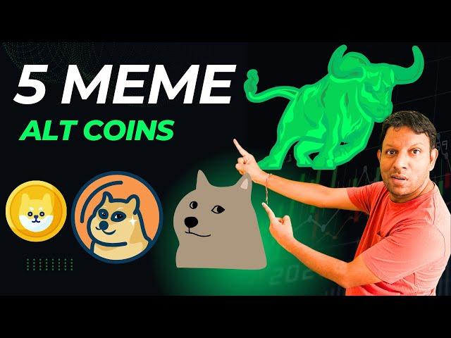 5 MEME COINS for 10X | 5 ALT COINS  for 10X