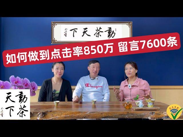 如何做到点击率850万 提高点击量（动茶天下39）2022