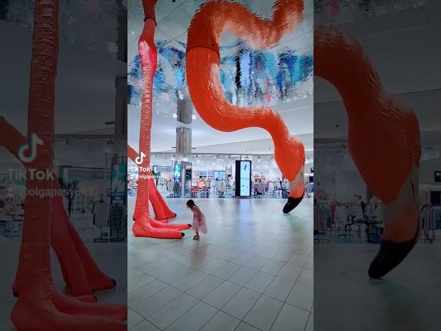 Beautiful Art Work Tampa International Airport #tampa #tampaairport #flamingo