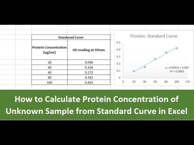 How to calculate Protein Concentration of Unknown Sample from standard curve in excel