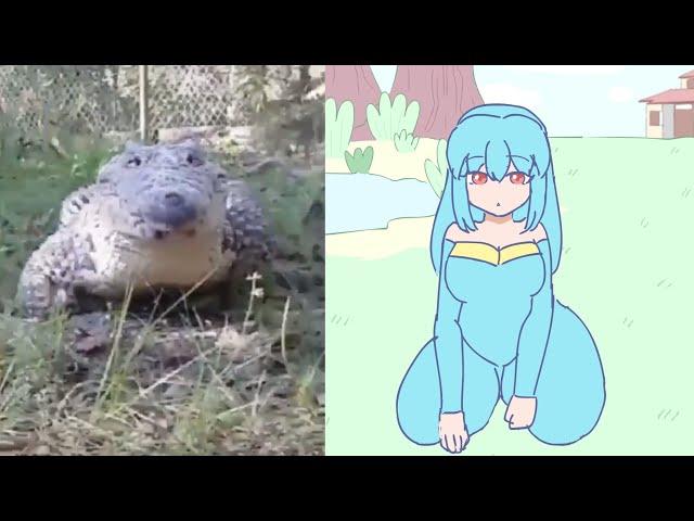 cute croc videos but it's animated