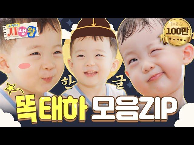 [#내아이의사생활] 하이라이트 | 세종대왕님도 감탄한 똑똑한 태하 모음집 | ENA 채널 | 토요일 저녁 8시 30분