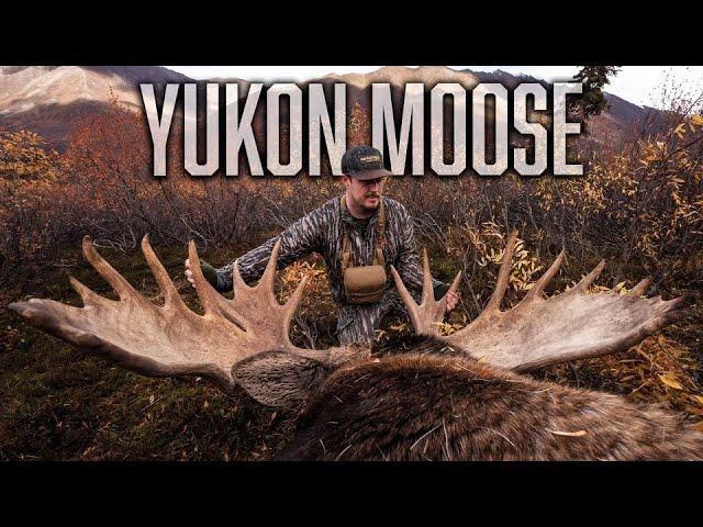 YUKON MOOSE Hunting | 8 Days in the Canadian Backcountry | Realtree Road Trips