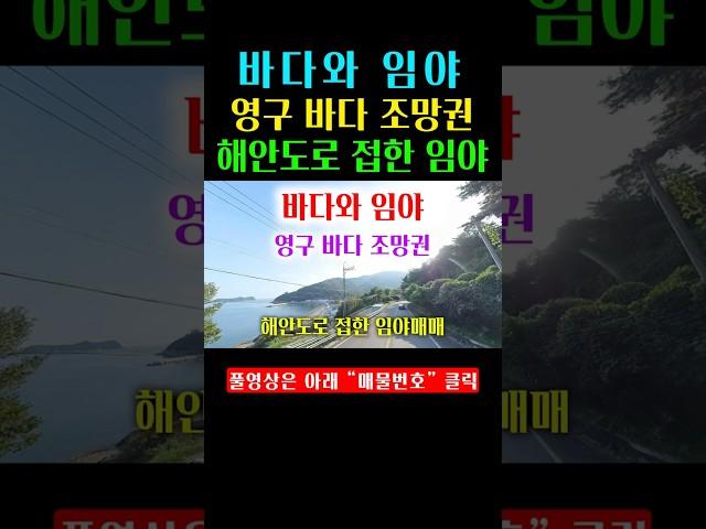 바다와 임야, 해안도로를 접하고 있어 영구 바다 조망이 되는 임야입니다.