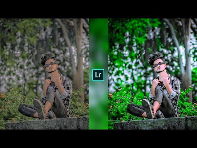 New Lightroom photo editing//green and grey tone photo editing mobile//preset download free//