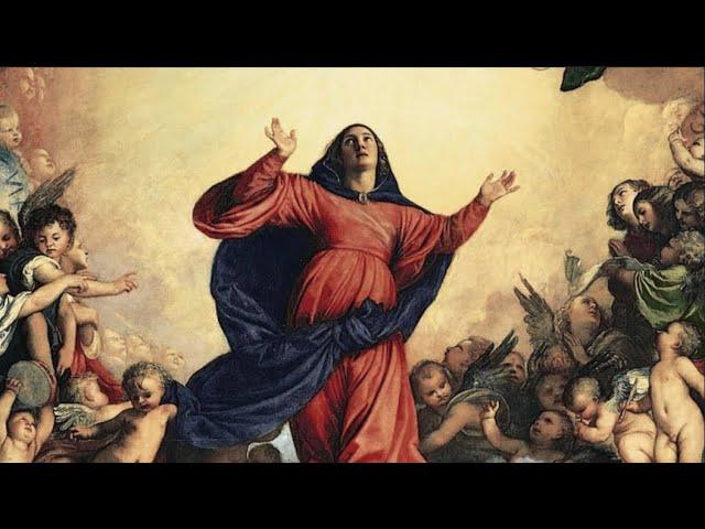 THE ASSUMPTION OF THE BLESSED VIRGIN MARY | Homily by FR. DOM LORENZO, SSCV