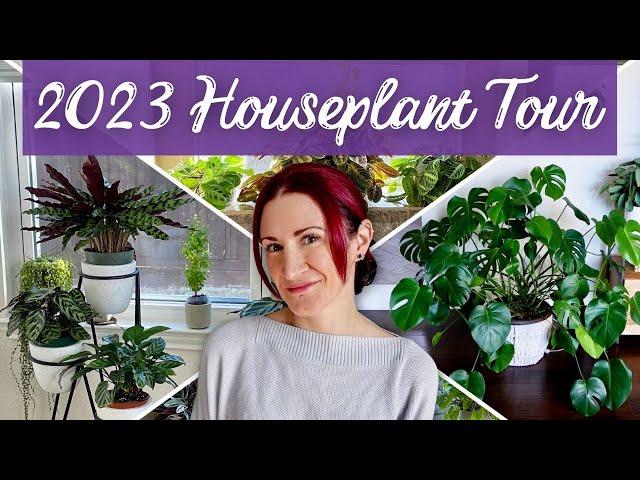 New Year, New FULL Plant Tour! | Let's Check In On Every Houseplant In My Collection!