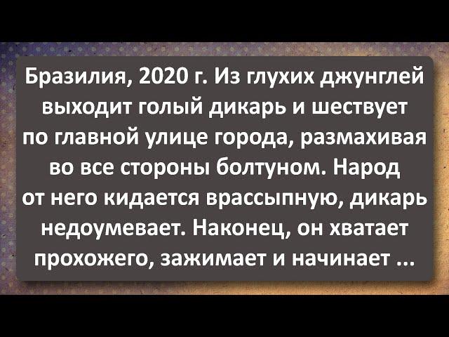 Голый Дикарь Размахивает во Все Стороны Болтуном! Сборник Самых Свежих Анекдотов!