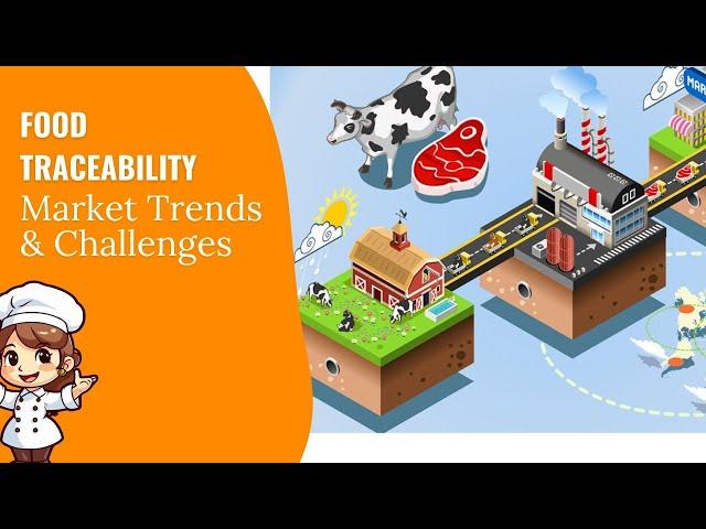 Food Traceability Market: Trends & Growth Insights