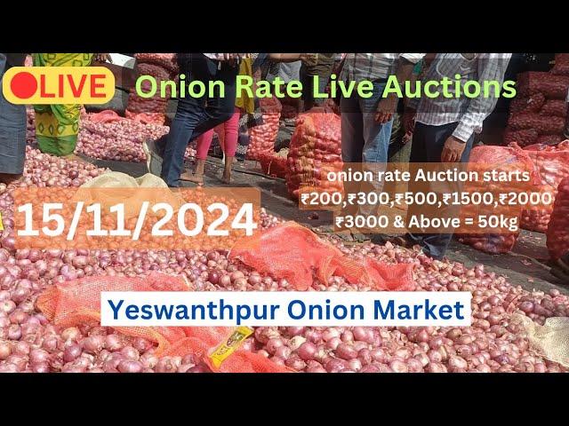 Bangalore,Onion,Market,Price | Yesvantpur Onion Market | 15/11/2024 Live Auction #onion #apmcmarkets