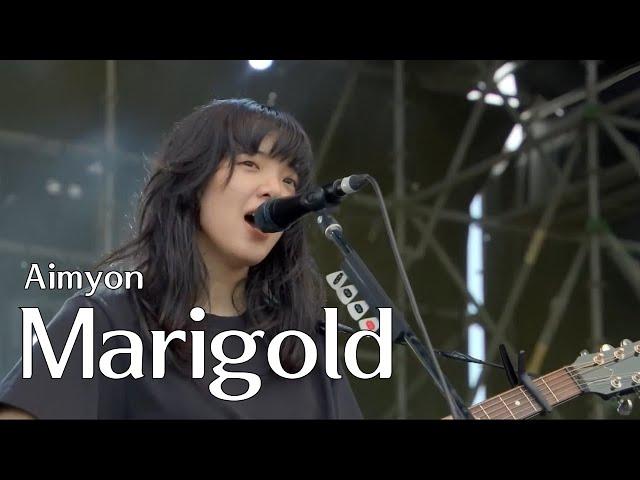 [LIVE] 아이묭(あいみょん) - Marigold