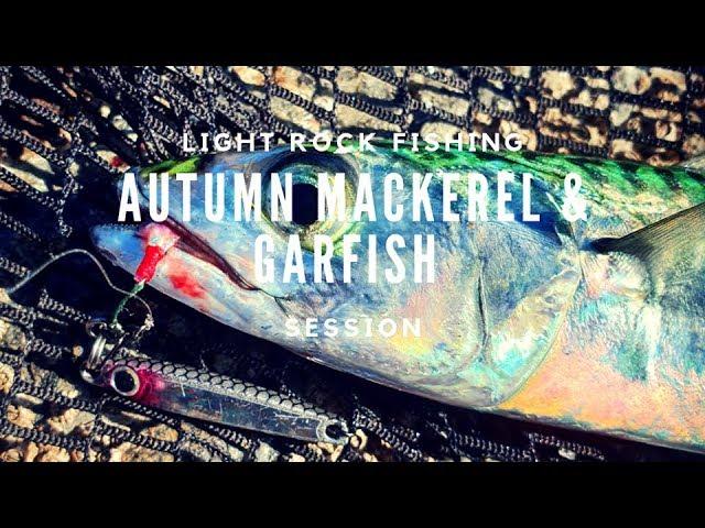 Light Rock Fishing - Autumn Mackerel & Garfish