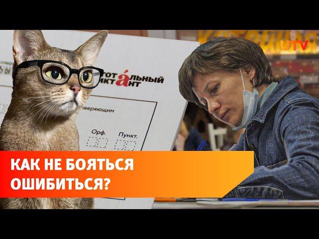 Страх ошибки и пушистики. Как в уфимском кафе «Котейная» прошёл Тотальный диктант?