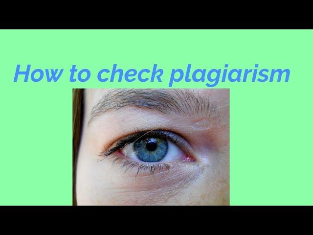 How to check plagiarism