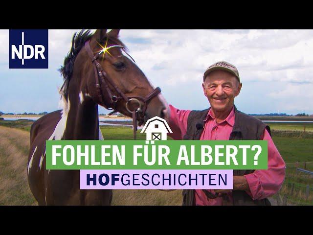 Tierarzt bei Alberts Pferden | Hofgeschichten (151) | NDR auf’m Land