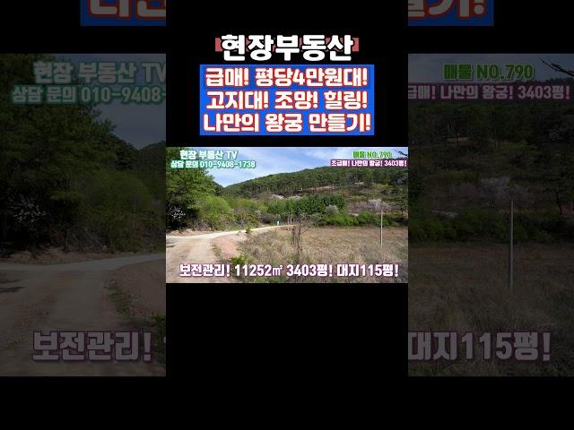 고지대 싼땅 급매 조망 좋아요 #sorts #현장부동산 #단양부동산 #단양토지매매 #가곡부동산